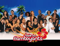 Baie des flamboyants : Temps des fêtes