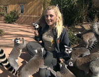 Une saison au zoo