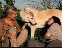 Hélène et les animaux : Ces animaux tout droit sortis du Moyen Age