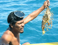 360°-GEO : Nicaragua, la malédiction des pêcheurs de langoustes