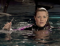 Sanctuary : Le calamar et le scorpion