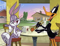 Looney Tunes Show : Daffy se fait refaire le bec. - Le pont à bascule