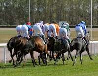 Un jour aux courses