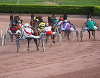 Un jour aux courses