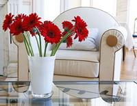 La maison France 5 : Carafes et verres design