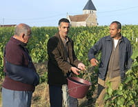 Du goût et des couleurs