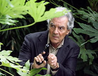 Sauveur Giordano : Harcèlements