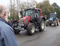 Le tarmac est dans le pré