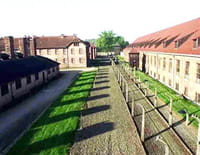 Les camps de l'horreur nazie