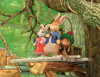 Pierre Lapin : Le grondeur des tunnels