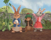 Pierre Lapin : Le grand sauvetage de la tortue